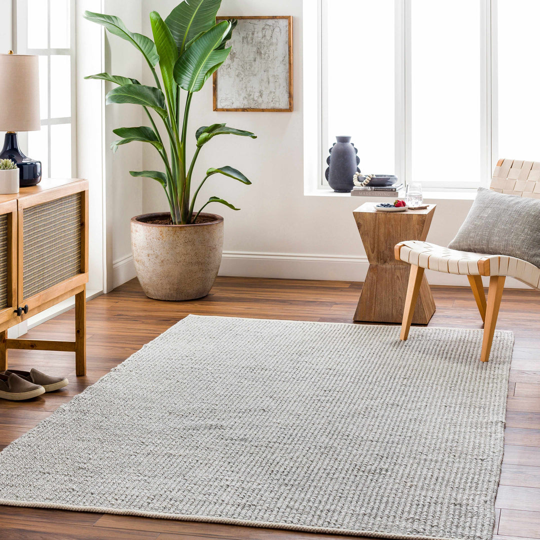 Blaga Modern Solid Design Gray Hand Woven Area Rug