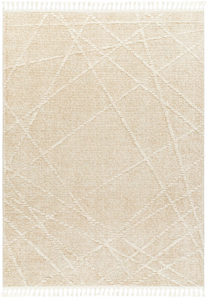 Hosea Beige Contemporary Style Area Rug