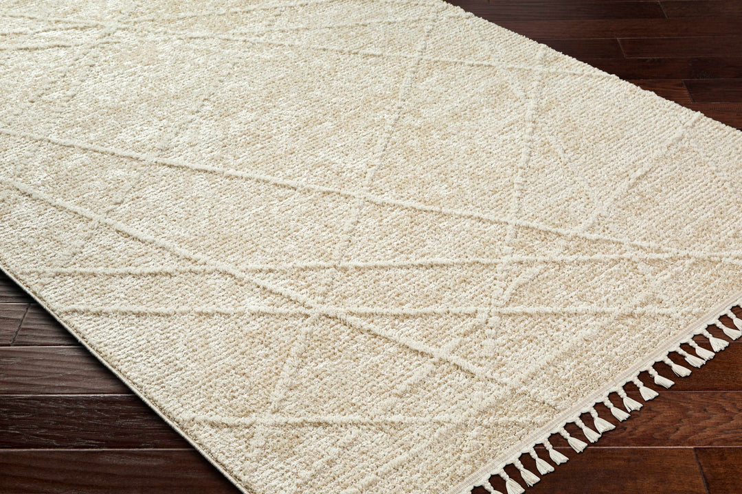Hosea Beige Contemporary Style Area Rug