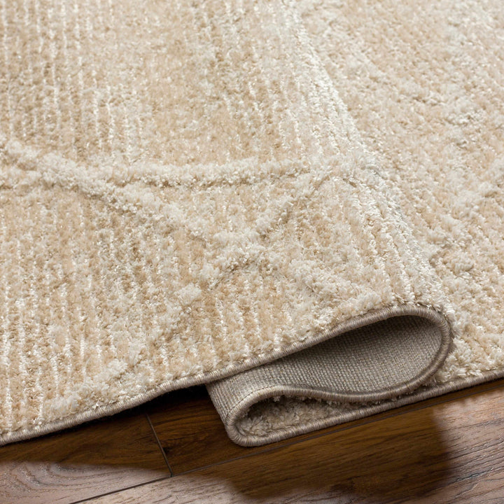 Hosea Beige Contemporary Style Area Rug