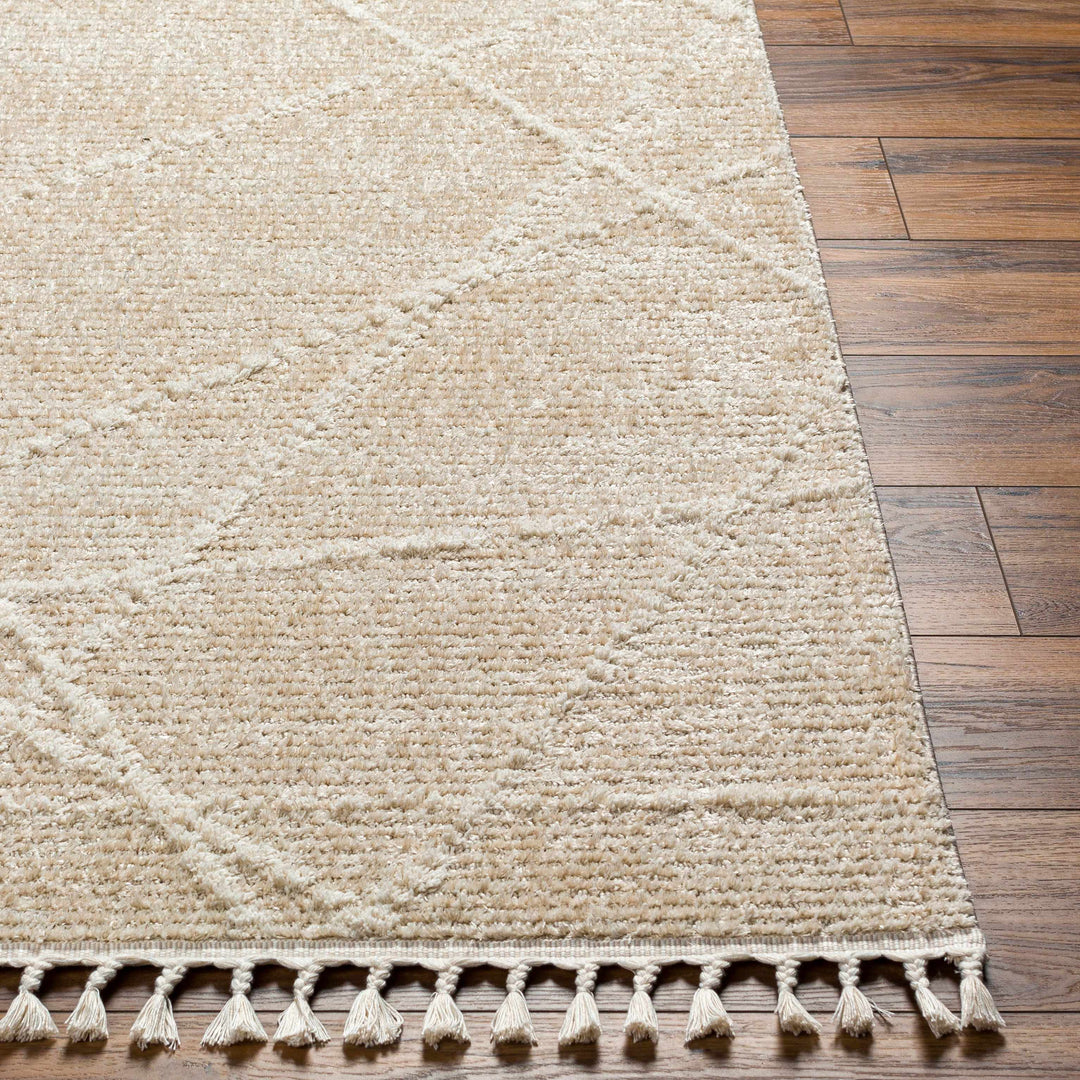 Hosea Beige Contemporary Style Area Rug