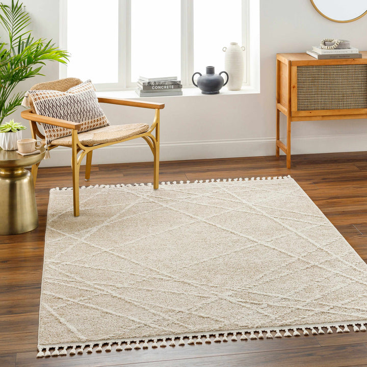 Hosea Beige Contemporary Style Area Rug
