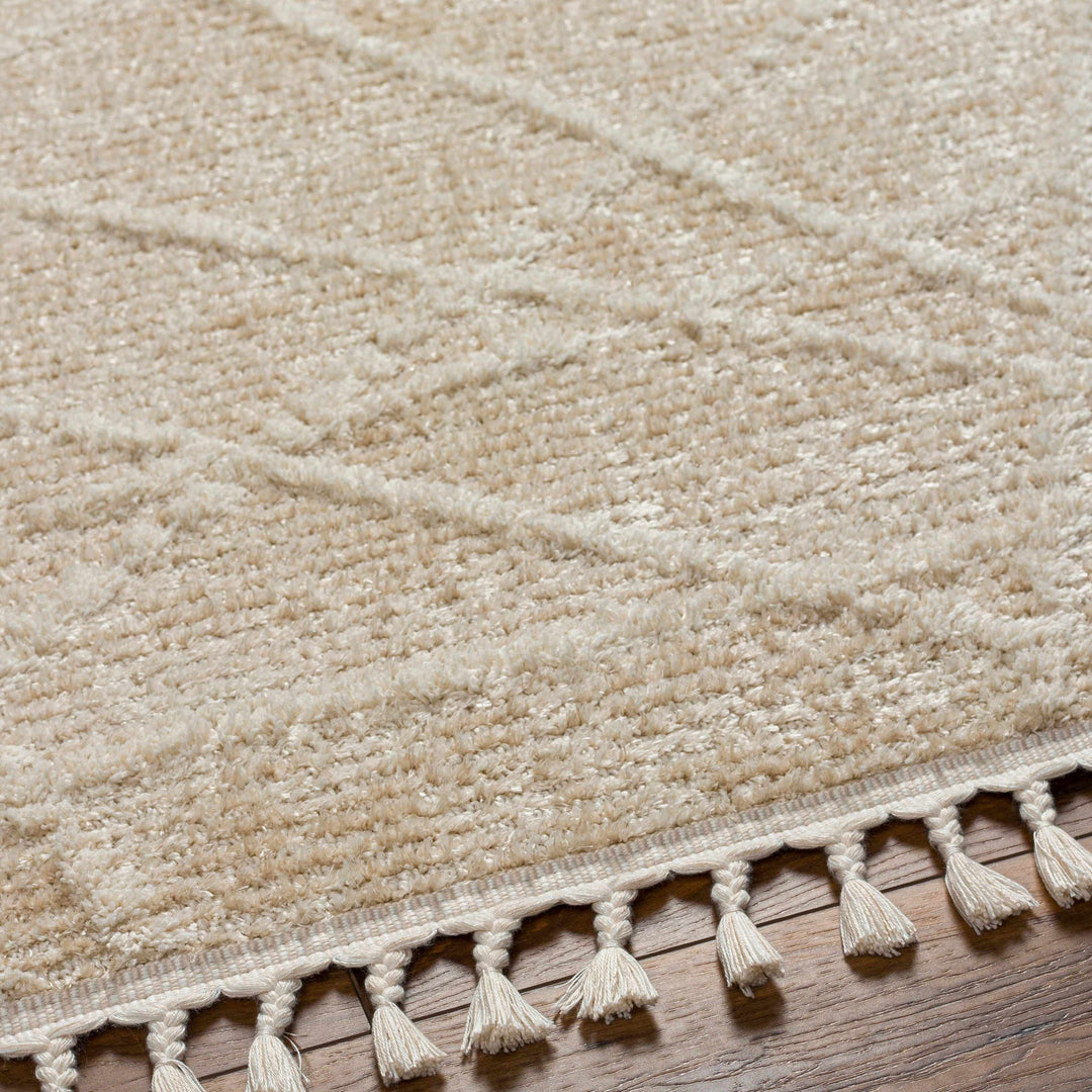 Hosea Beige Contemporary Style Area Rug
