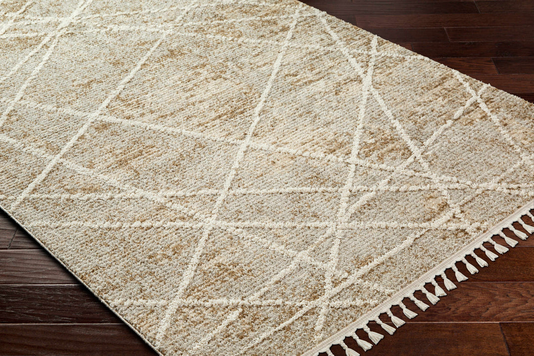 Hosea Contemporary Abstract Beige And Brown Area Rug