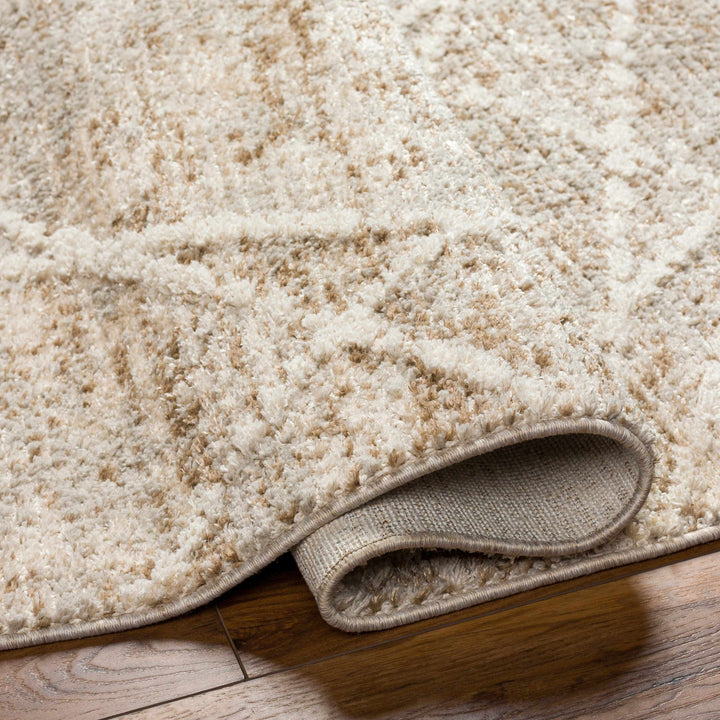 Hosea Contemporary Abstract Beige And Brown Area Rug