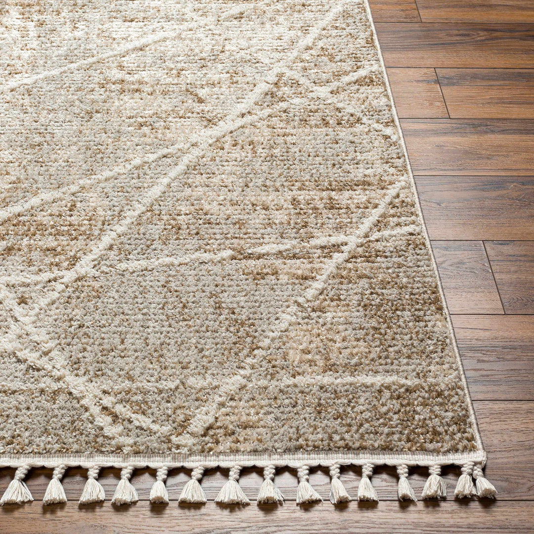 Hosea Contemporary Abstract Beige And Brown Area Rug