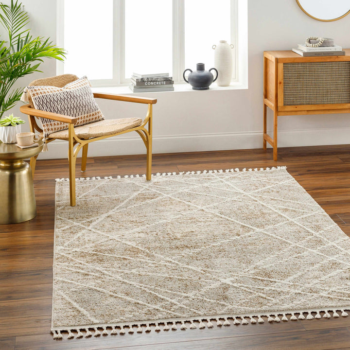Hosea Contemporary Abstract Beige And Brown Area Rug