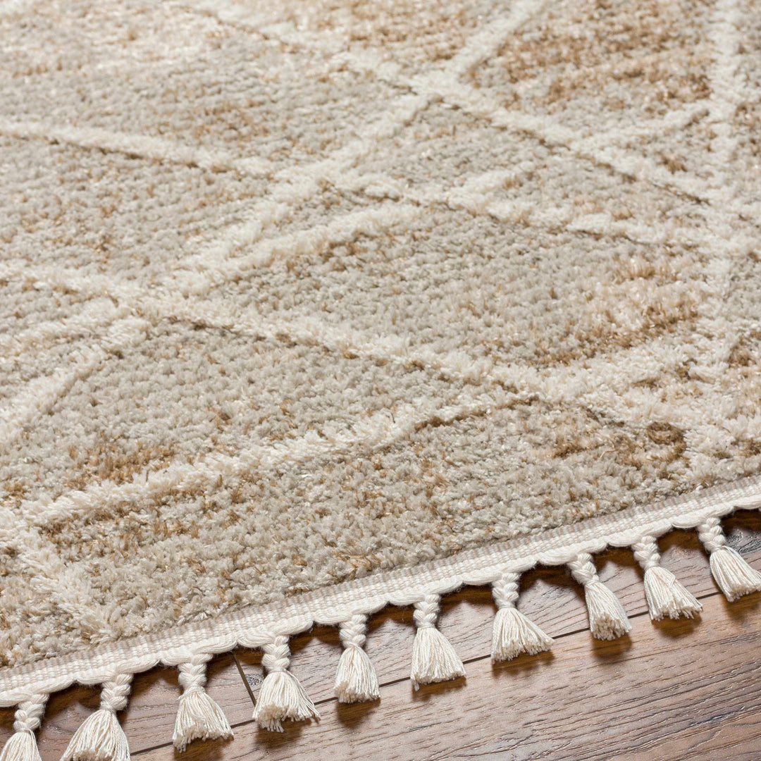Hosea Contemporary Abstract Beige And Brown Area Rug