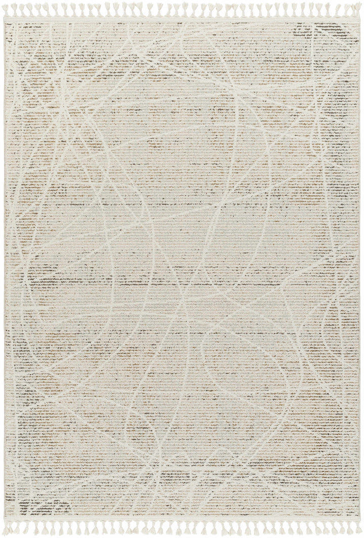 Huong Beige Contemporary Abstract Design Area Rug