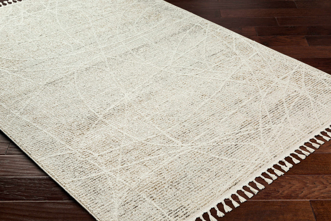 Huong Beige Contemporary Abstract Design Area Rug