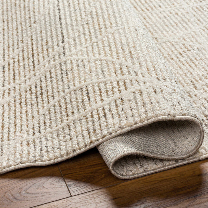 Huong Beige Contemporary Abstract Design Area Rug