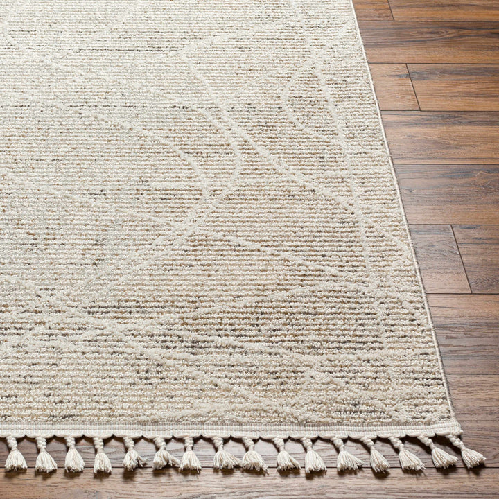 Huong Beige Contemporary Abstract Design Area Rug