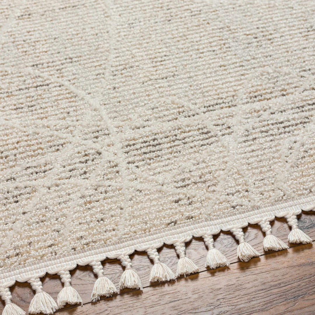 Huong Beige Contemporary Abstract Design Area Rug