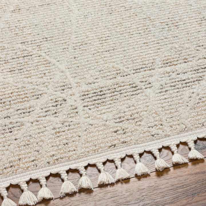 Huong Beige Contemporary Abstract Design Area Rug