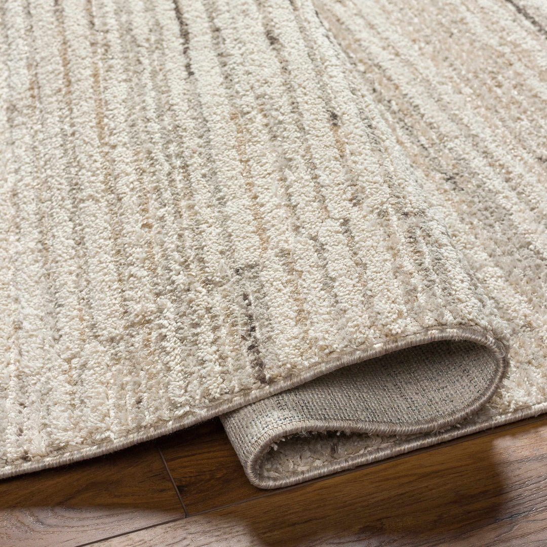 Levy Beige Contemporary Style Area Rug