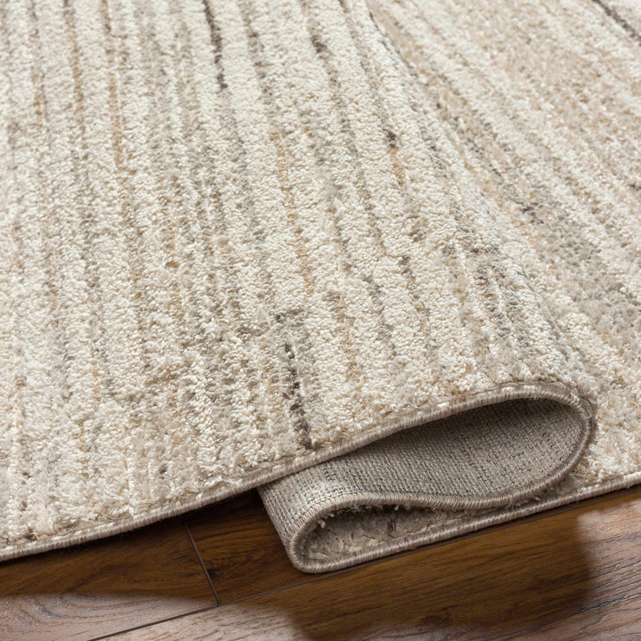 Levy Beige Contemporary Style Area Rug