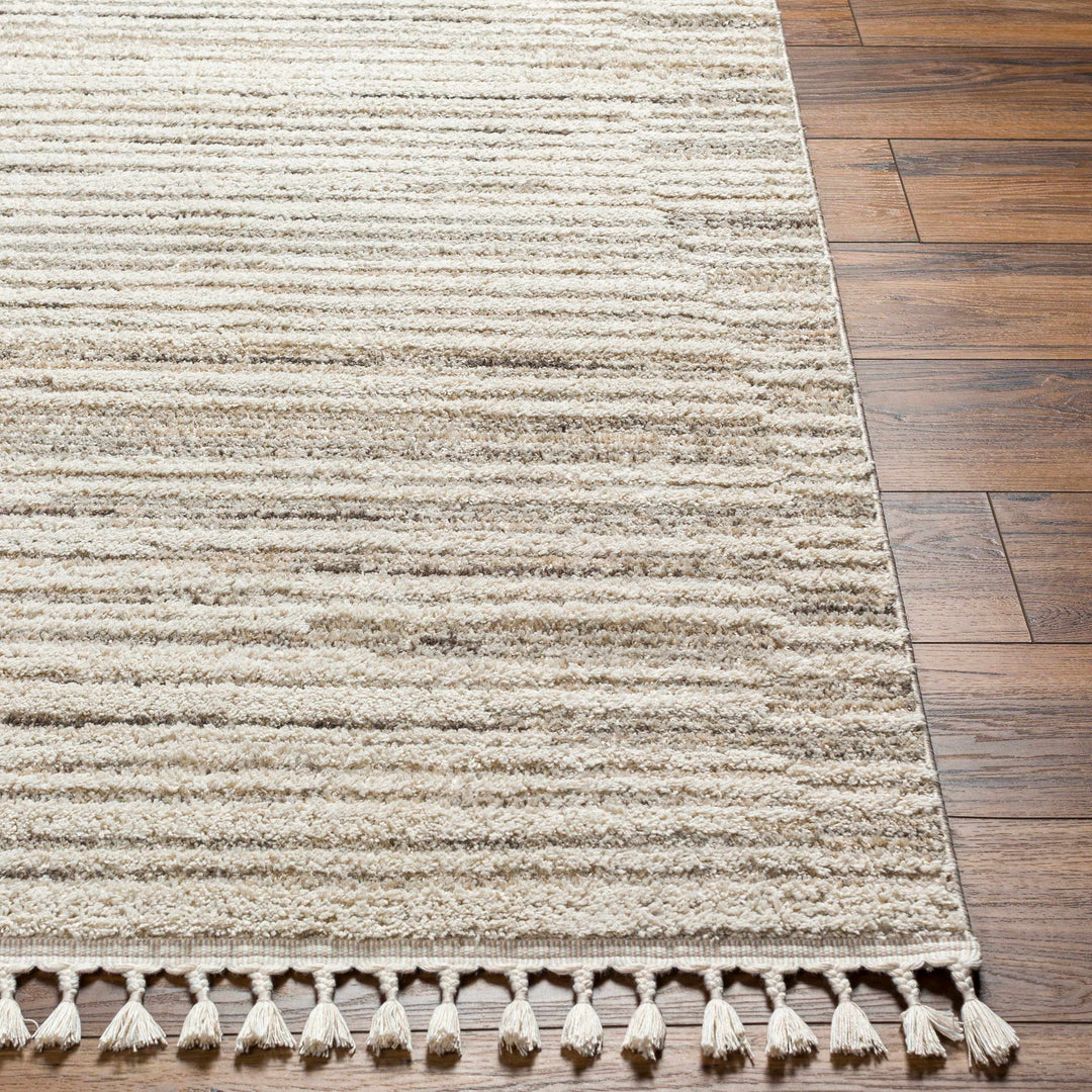 Levy Beige Contemporary Style Area Rug
