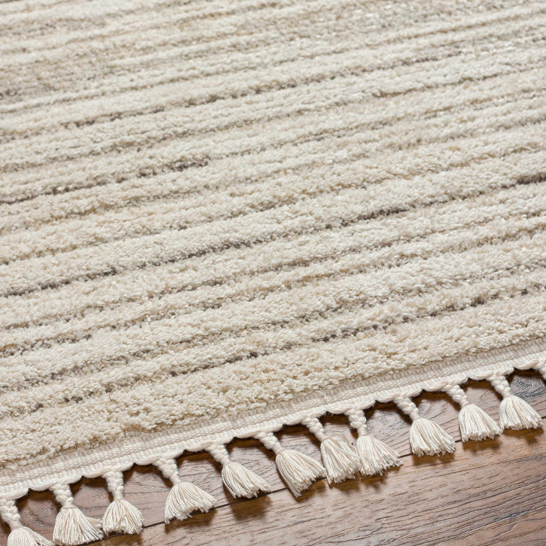 Levy Beige Contemporary Style Area Rug