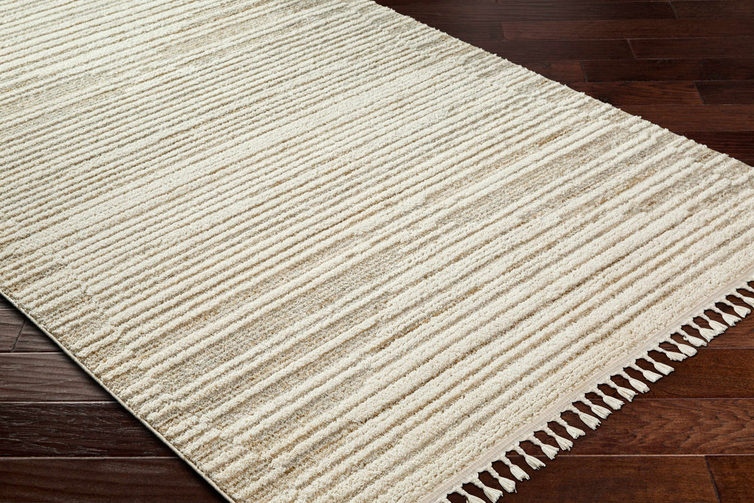 Levy Contemporary Style Beige And Brown Area Rug