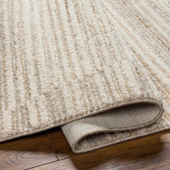 Levy Contemporary Style Beige And Brown Area Rug