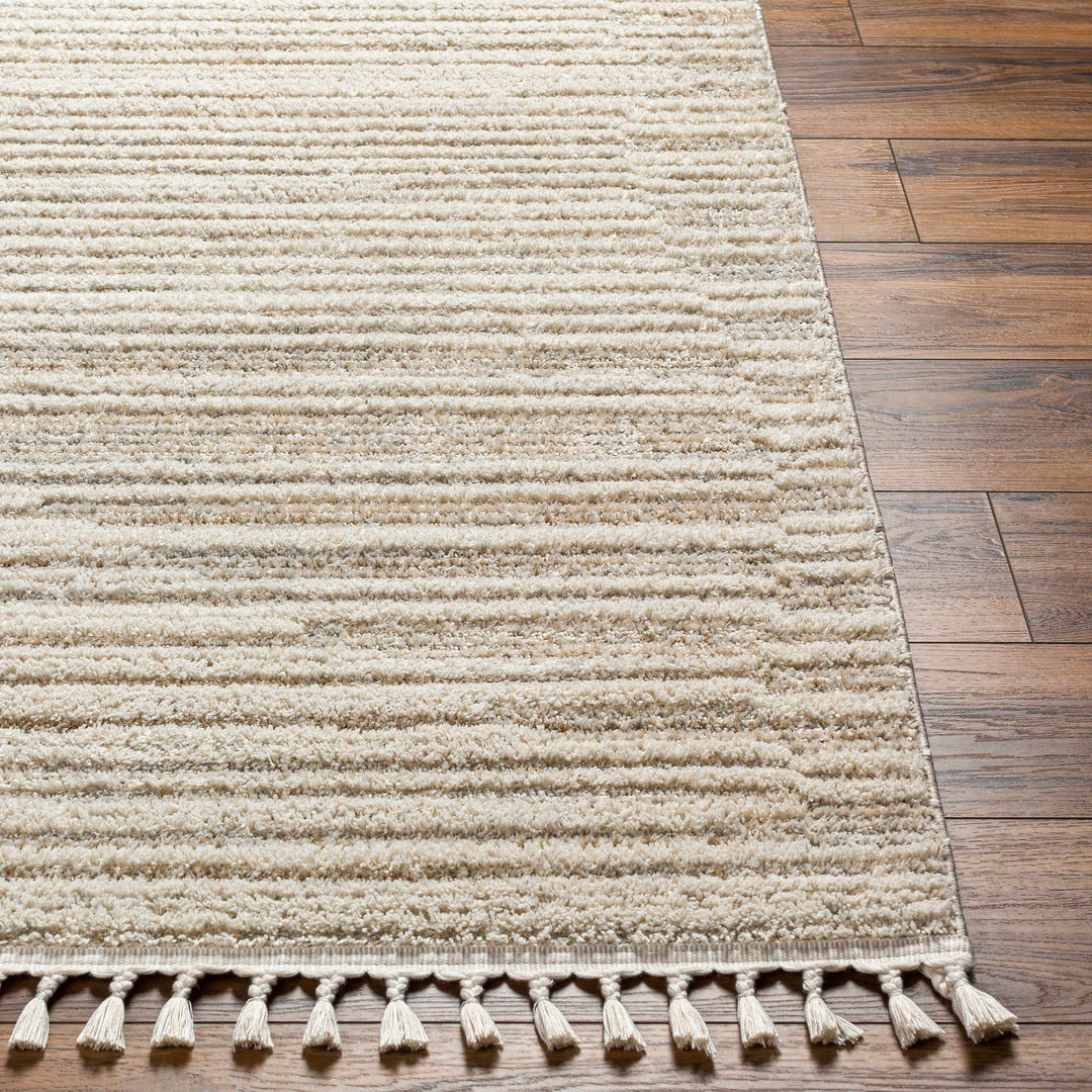Levy Contemporary Style Beige And Brown Area Rug