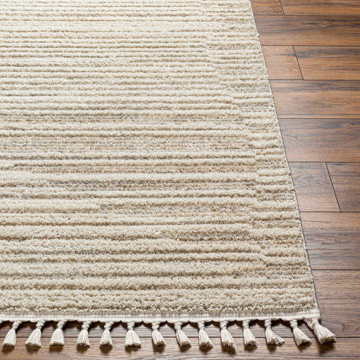 Levy Contemporary Style Beige And Brown Area Rug
