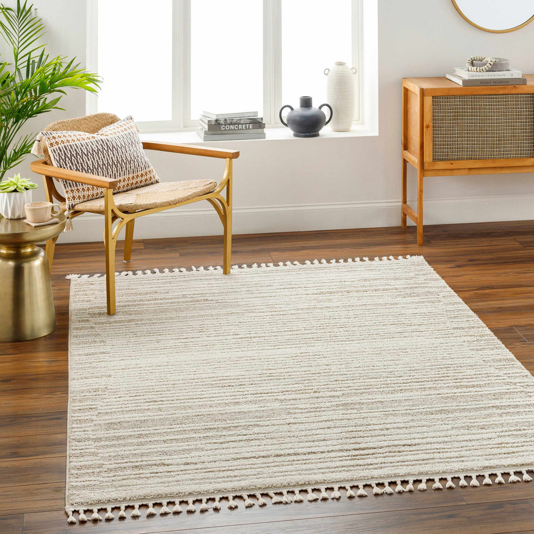 Levy Contemporary Style Beige And Brown Area Rug