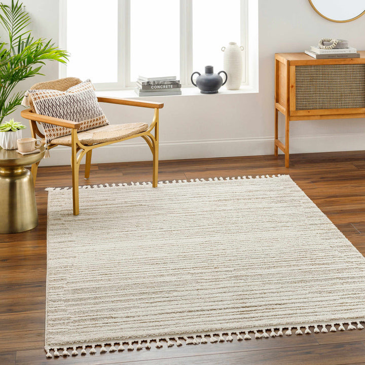 Levy Contemporary Style Beige And Brown Area Rug