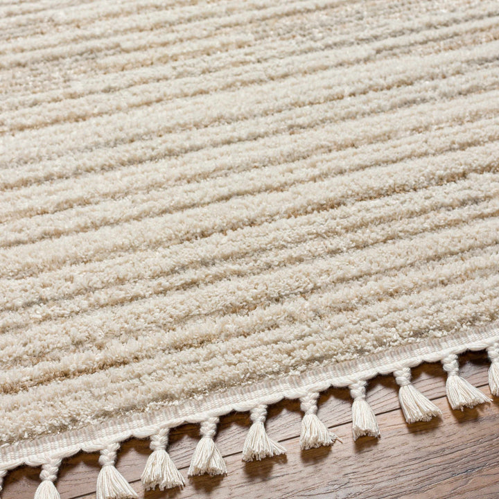 Levy Contemporary Style Beige And Brown Area Rug