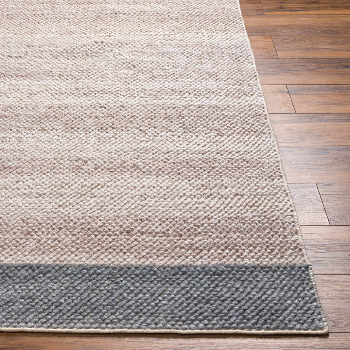 Edwin Modern Style Beige And Gray Hand Woven Area Rug