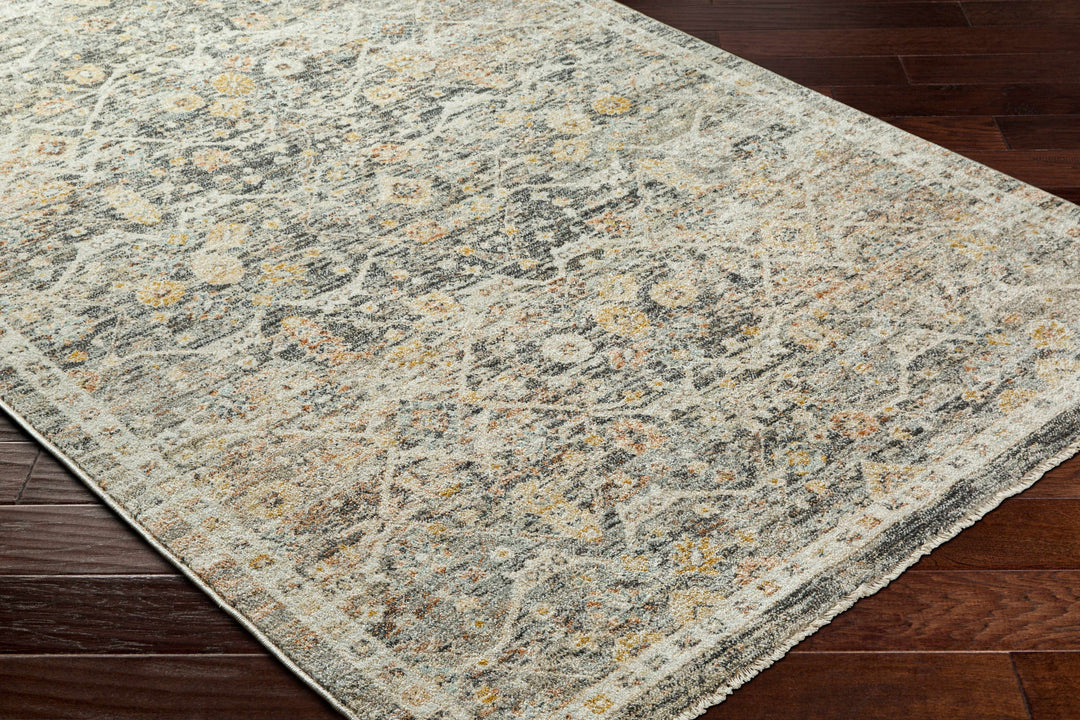Issay Traditional Style Beige And Gray Rug