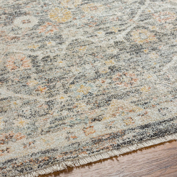 Issay Traditional Style Beige And Gray Rug