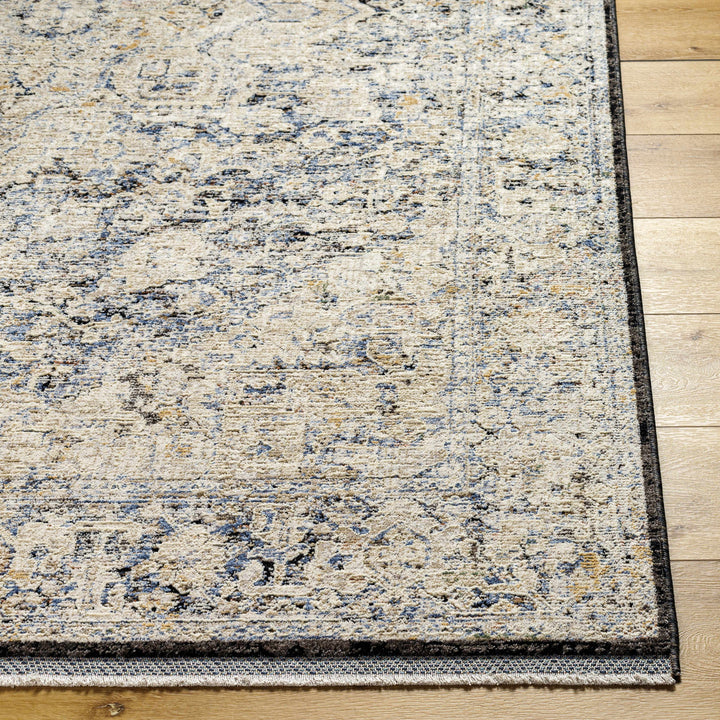 Charo Traditional Medallion Design Beige And Gray Rug