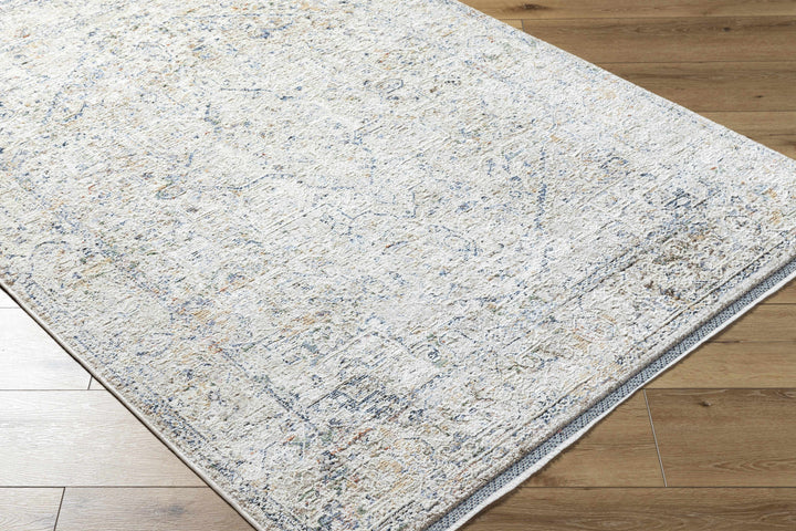 Charo Traditional Style Beige And Blue Area Rug