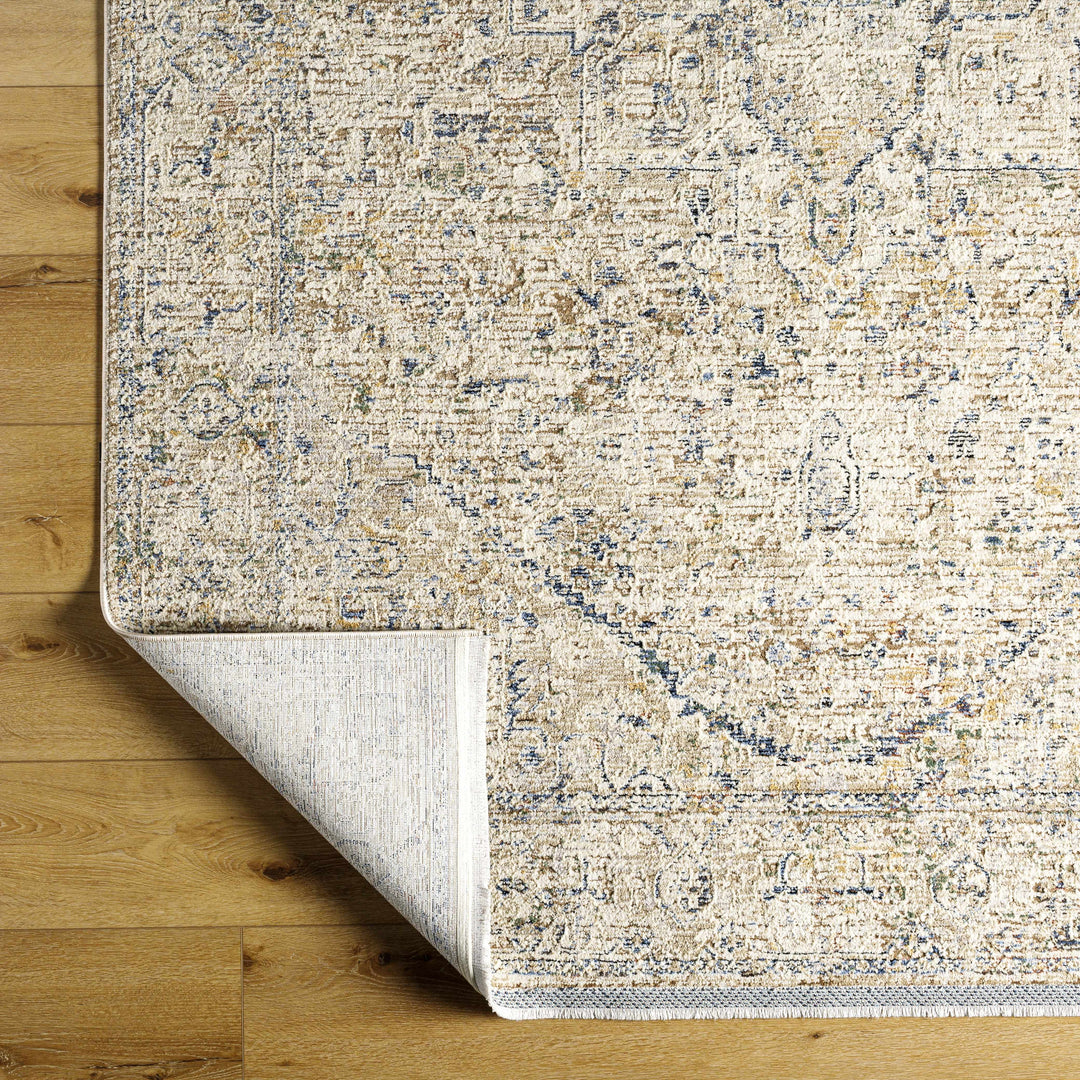 Charo Traditional Style Beige And Blue Area Rug