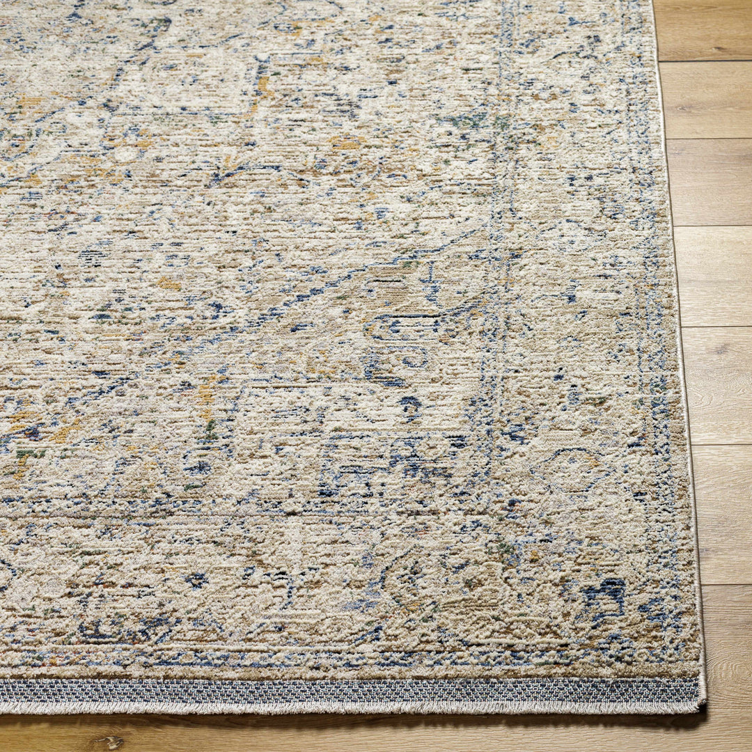 Charo Traditional Style Beige And Blue Area Rug