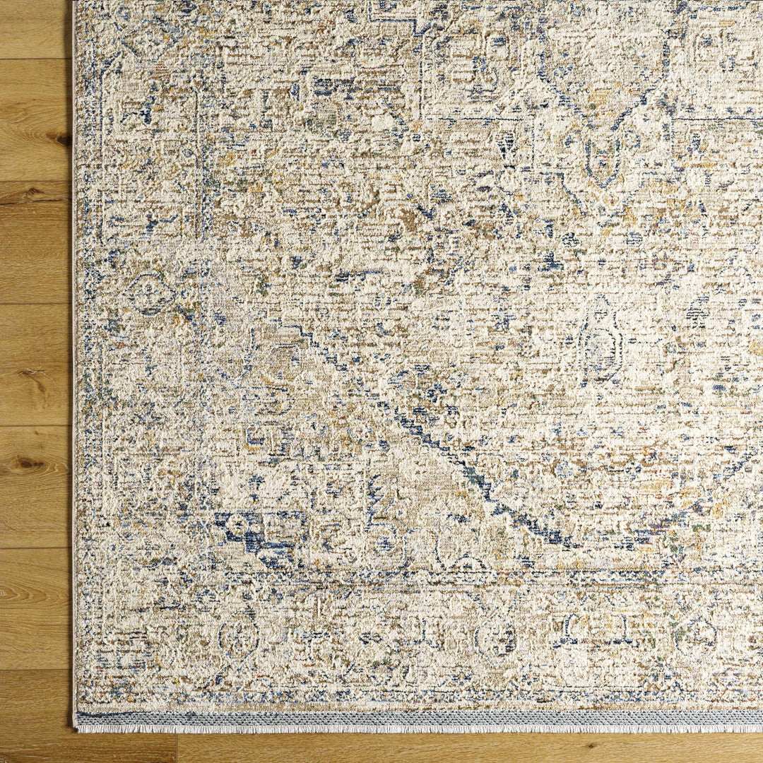 Charo Traditional Style Beige And Blue Area Rug