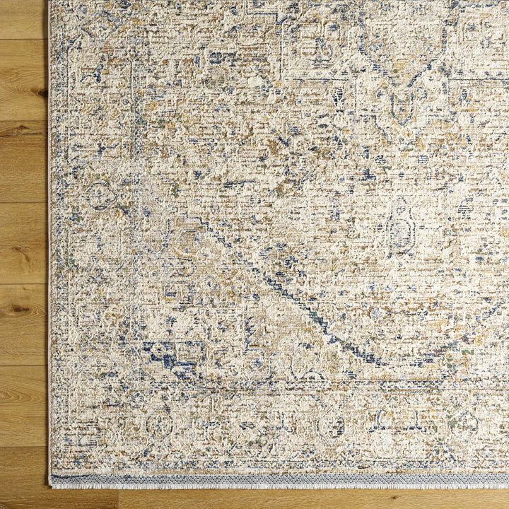 Charo Traditional Style Beige And Blue Area Rug