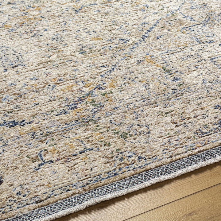 Charo Traditional Style Beige And Blue Area Rug