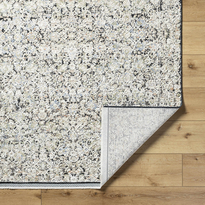 Haran Traditional Style Ivory And Blue Area Rug