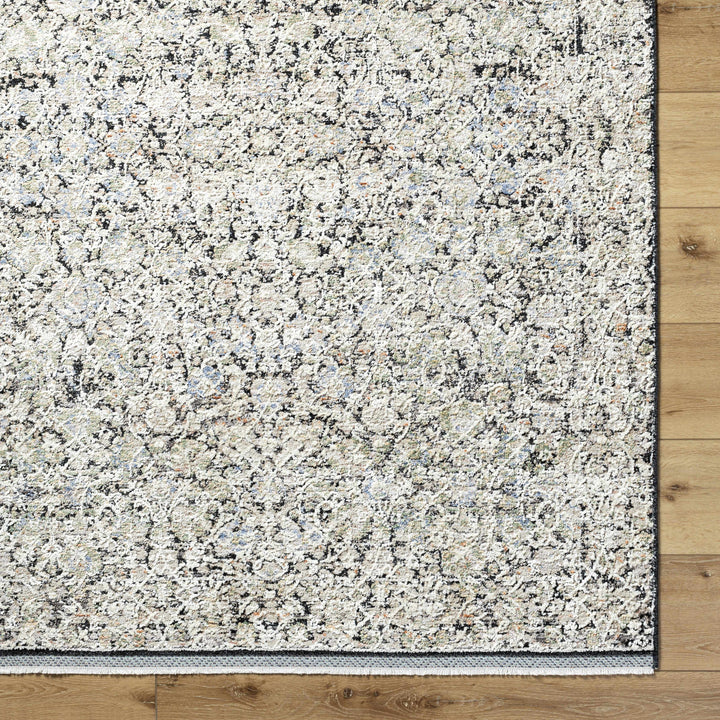Haran Traditional Style Ivory And Blue Area Rug