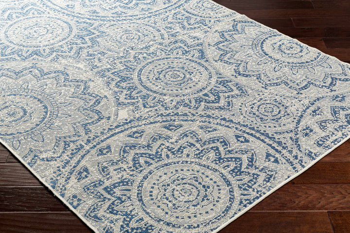 Ayala Traditional Style Blue And Beige Durable Outdoor Rug