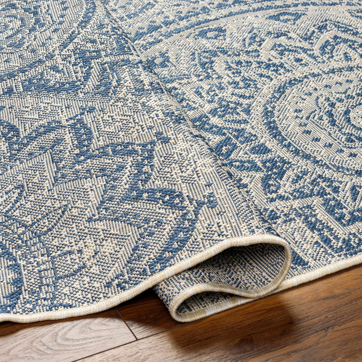 Ayala Traditional Style Blue And Beige Durable Outdoor Rug