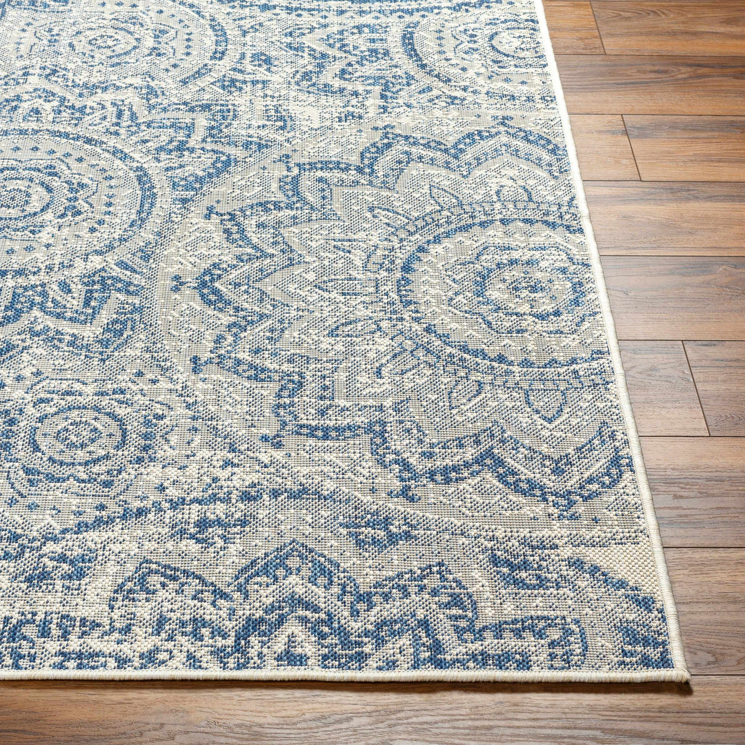 Ayala Traditional Style Blue And Beige Durable Outdoor Rug