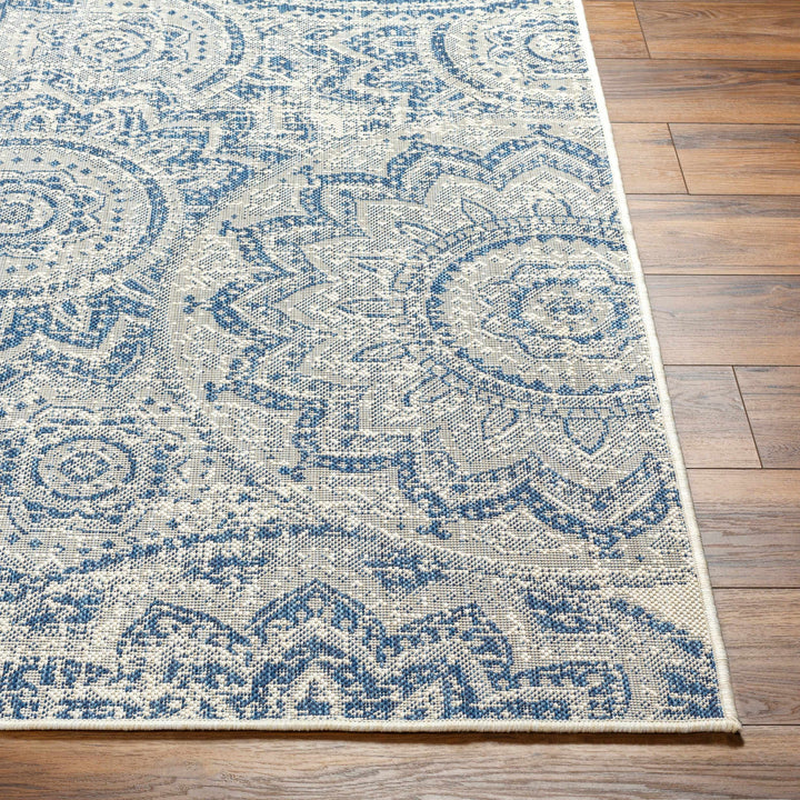 Ayala Traditional Style Blue And Beige Durable Outdoor Rug