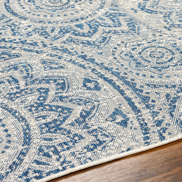 Ayala Traditional Style Blue And Beige Durable Outdoor Rug