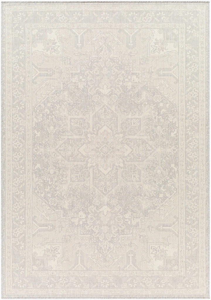 Cohen Traditional Style Beige Outdoor Area Rug