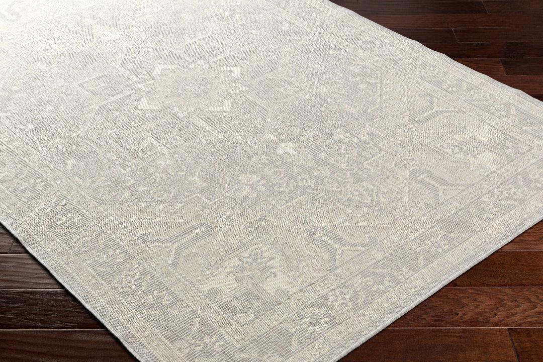 Cohen Traditional Style Beige Outdoor Area Rug