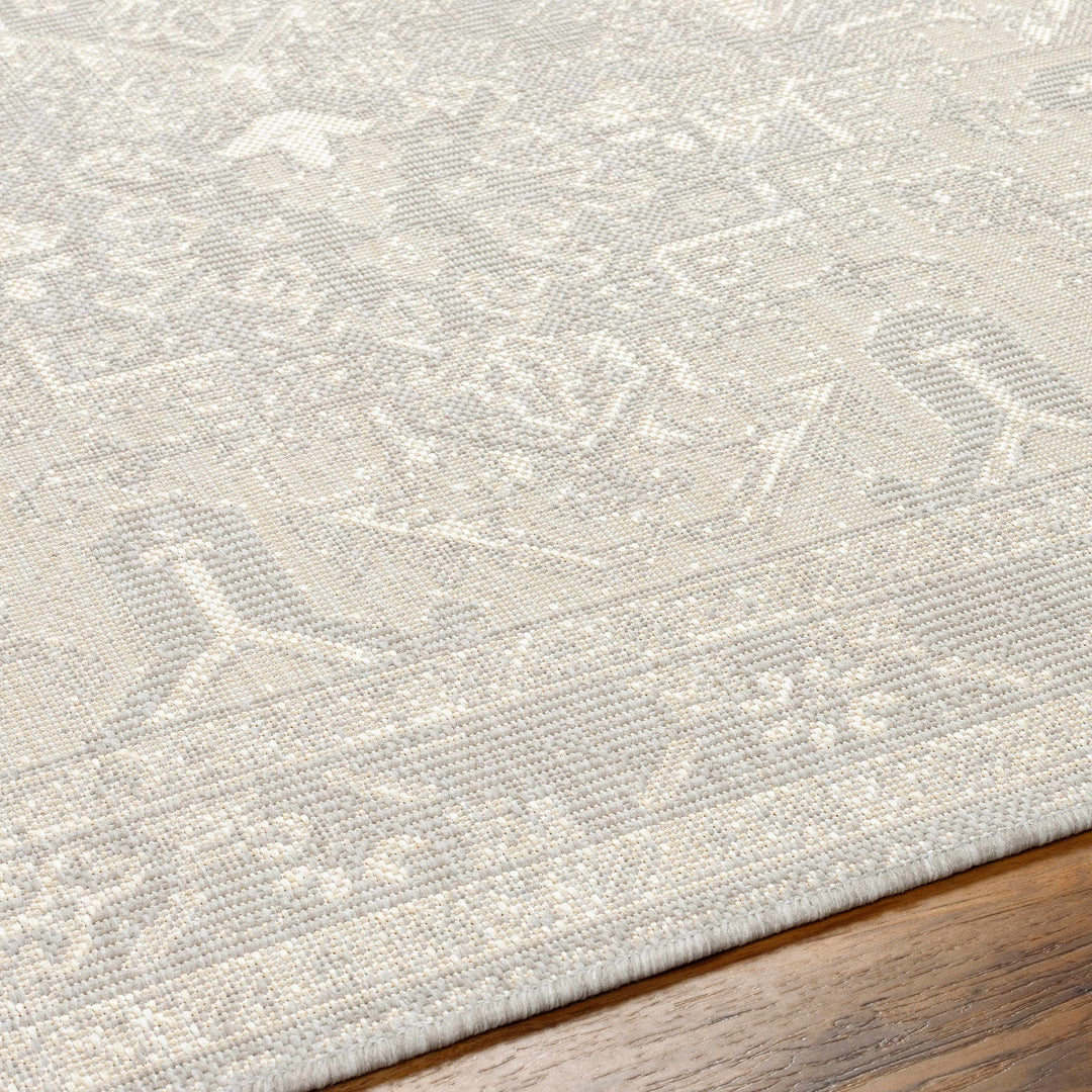 Cohen Traditional Style Beige Outdoor Area Rug