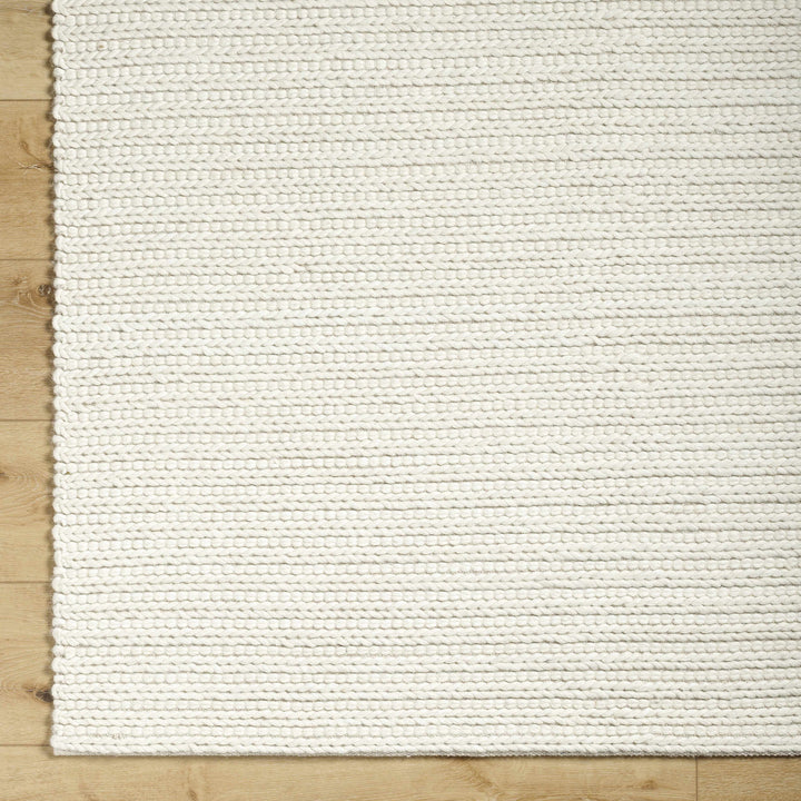 Lenci Modern Style Ivory Hand Woven Wool Area Rug